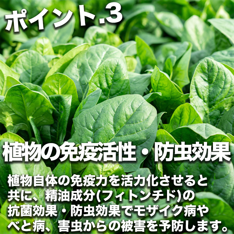 植物の免疫活性・防虫効果